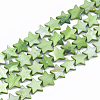 Freshwater Shell Beads Strands SHEL-S276-31C-1