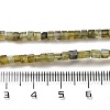 Natural Labradorite Beads Strands G-B064-A32-5