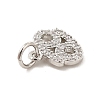 Brass Micro Pave Cubic Zirconia Charms KK-E077-02P-02-3