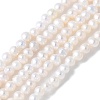 Natural Cultured Freshwater Pearl Beads Strands PEAR-I007-07D-01A-2