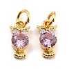 Brass Micro Pave Cubic Zirconia Charms KK-A156-08G-RS-2