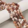 Raw Rough Natural Fire Opal Beads Strands G-C253-02-1