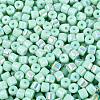 FGB Opaque Colours Glass Seed Beads SEED-Q040-07A-A05-3