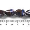 Dyed Natural Trochus Shell Beads Strands BSHE-Z006-02B-4