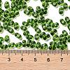Glass Seed Beads SEED-L011-02A-02-4