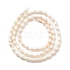Natural Cultured Freshwater Pearl Beads Strands PEAR-I007-01L-01B-3