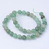 Natural Green Aventurine Beads Strands X-G-Q462-12mm-20-2