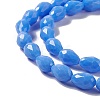 Faceted Glass Beads Strands LS-GLAA-E037-01D-3
