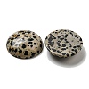 Natural Dalmatian Jasper Cabochons G-C115-02B-21-2