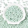 Baking Paint Pearlized Glass Seed Beads SEED-T008-03P-2