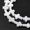 Natural Freshwater Shell Beads Strands X-BSHE-E026-18-4