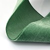 Polyester Velvet Ribbon for Gift Packing and Festival Decoration SRIB-M001-23mm-587-2
