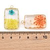 Brass Resin Pendants GL-CBA591C-04G-3