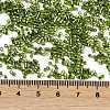 Baking Paint Silver Lined Glass Seed Beads SEED-H003-09D-4