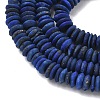 Natural Lapis Lazuli Beads Strands G-L644-B02-02-4