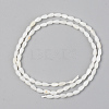 Natural Freshwater Shell Beads Strands X-SSHEL-R048-007A-2