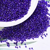 MIYUKI Delica Beads X-SEED-J020-DB0610-1