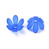 Transparent Acrylic Beads MACR-S373-47-D-3