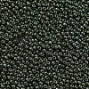 11/0 FGB Grade A Baking Paint Glass Seed Beads X-SEED-N001-A-1040-2