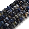 Natural Sodalite Beads Strands G-Z111-A20-3