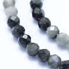 Natural Hawk's Eye Beads Strands G-I279-E14-03-3