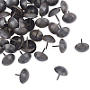 Iron Round Head Nails IFIN-GA0001-05-1