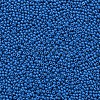11/0 Grade A Baking Paint Glass Seed Beads X-SEED-N001-A-1014-2