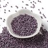 Baking Paint Glass Seed Beads SEED-S042-15A-14-2