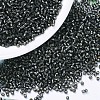 MIYUKI Delica Beads SEED-J020-DB0613-1