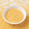 MIYUKI Round Rocailles Beads X-SEED-G008-RR0202-2