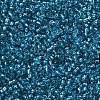 12/0 Glass Seed Beads SEED-A005-2mm-23B-2