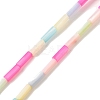 Rainbow Color Dyed Natural Freshwater Shell Beads Strands SHEL-G018-02A-1