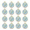 Golden Plated Alloy Enamel Charms ENAM-S118-04F-2