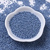 MIYUKI Delica Beads X-SEED-J020-DB0266-2