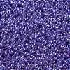 MIYUKI Round Rocailles Beads X-SEED-G009-RR0432-4