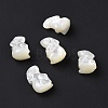Natural White Shell Beads BSHE-H016-02-2