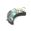 Natural Abalone Shell/Paua Shell Pendants PALLOY-JF02701-02-3