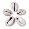 Natural Cowrie Shell Beads SSHEL-N034-33-2