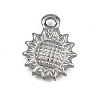 304 Stainless Steel Charms LS-STAS-G363-12P-1