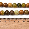 Natural Green Opal Beads Strands G-K245-A17-A05-01-4