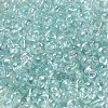 Glass Seed Beads SEED-K009-04A-01-3