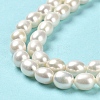 Natural Cultured Freshwater Pearl Beads Strands PEAR-E016-167-4