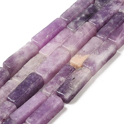 Natural Lepidolite/Purple Mica Stone Beads Strands G-E612-C05-B-1