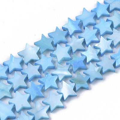 Freshwater Shell Beads Strands SHEL-T014-009B-1
