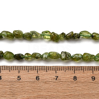 Natural Peridot Beads Strands X-G-I389-A27-1