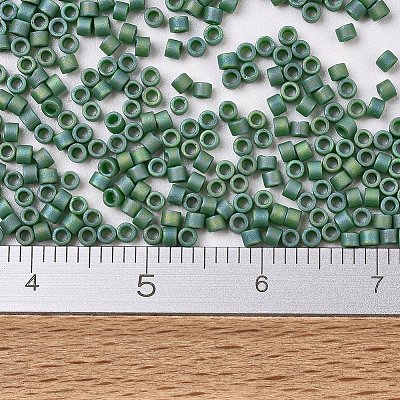 MIYUKI Delica Beads X-SEED-J020-DB2311-1