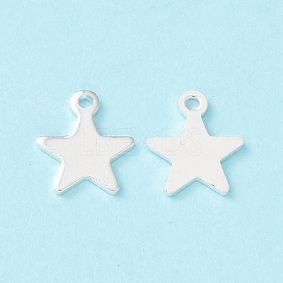 304 Stainless Steel Charms STAS-L234-069S-1