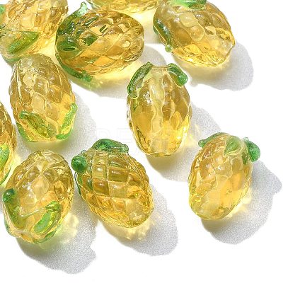 Handmade Lampwork Beads LAMP-CJ0001-46-1