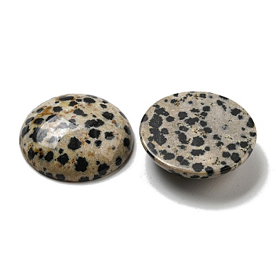 Natural Dalmatian Jasper Cabochons G-C115-02B-21-1