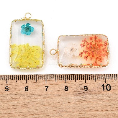 Brass Resin Pendants GL-CBA591C-04G-1